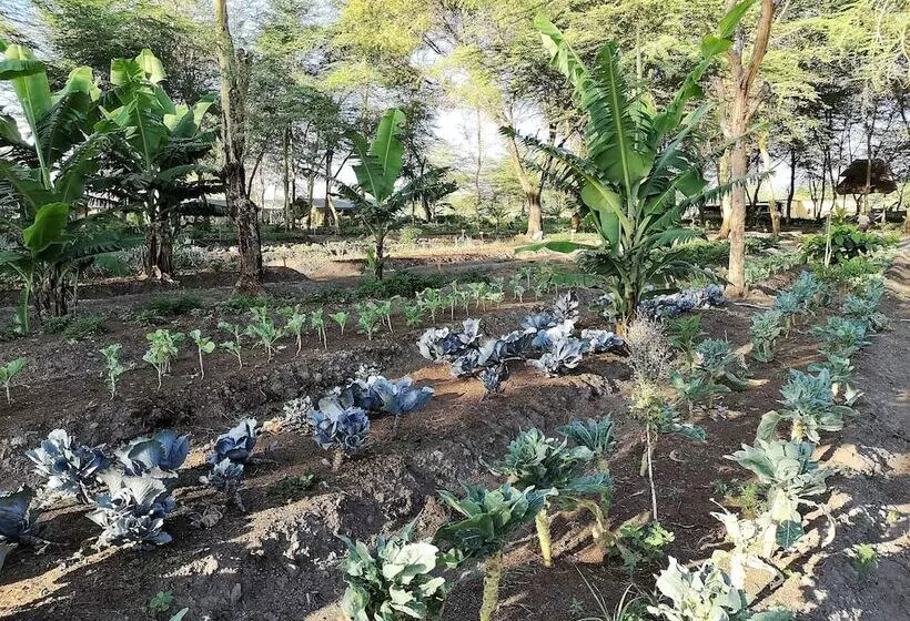 Hotelli Africa Safari Lake Manyara