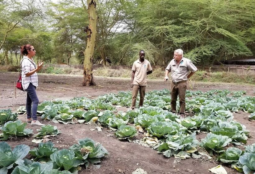 Отель Africa Safari Lake Manyara