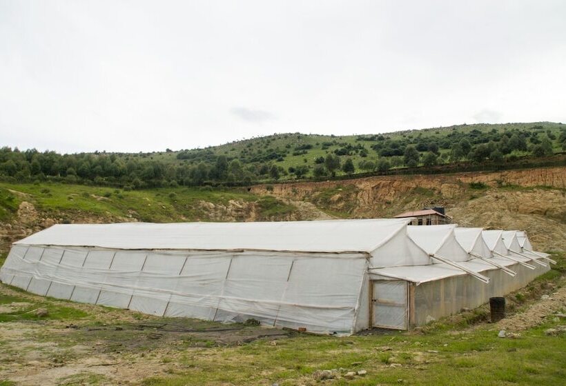 בית מלון כפרי Satellite Holiday Resort