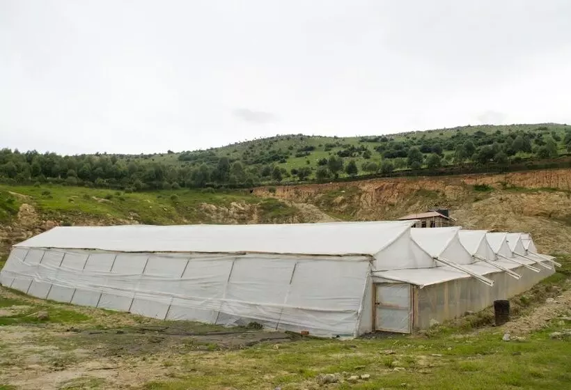 هتل Satellite Holiday Resort