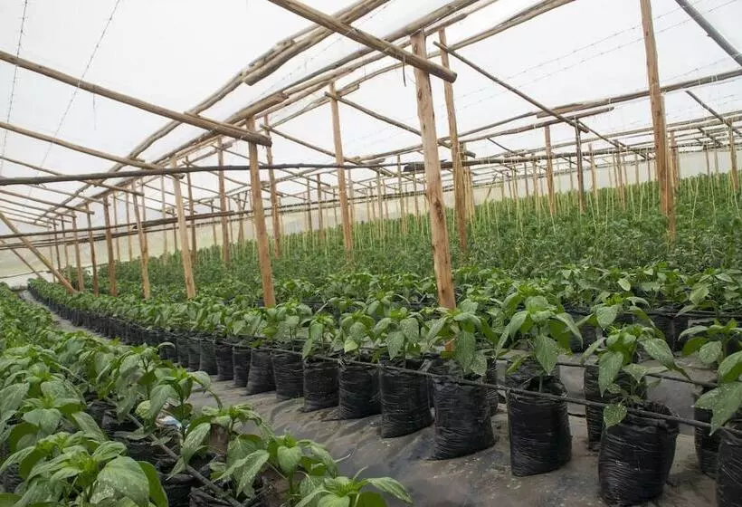 هتل Satellite Holiday Resort