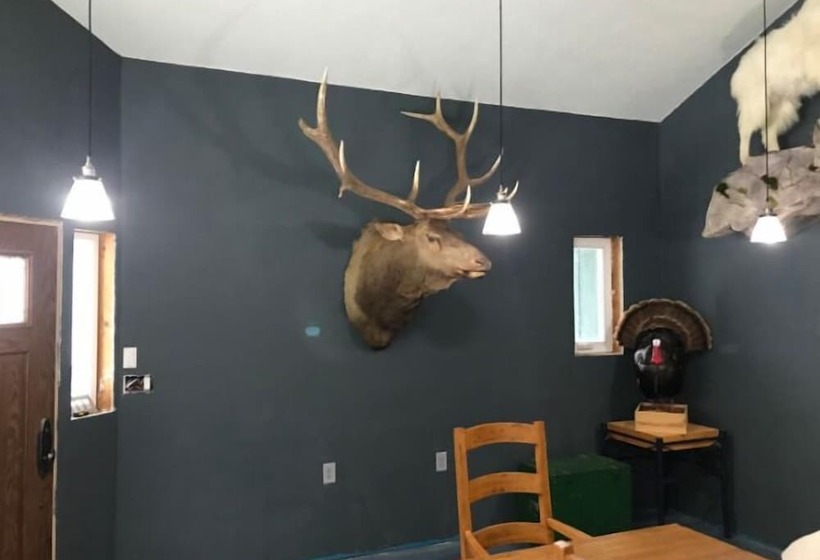 酒店 The Last Resort Lodge