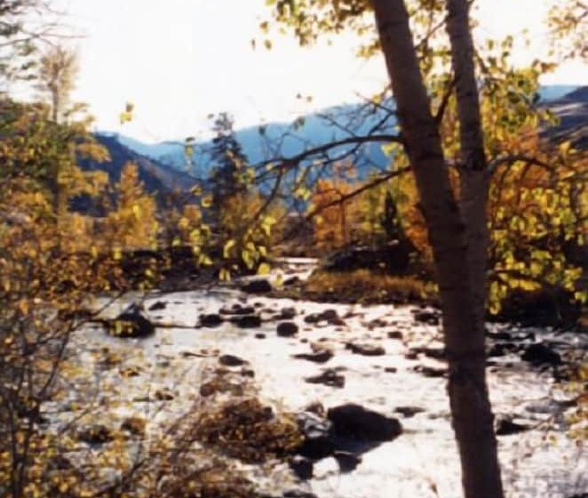 酒店 The Last Resort Lodge