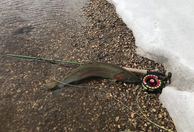 酒店 The Last Resort Lodge