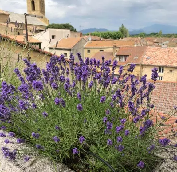 ペンション Entre Vignes Et Dentelles