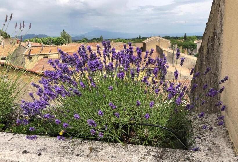 膳宿费 Entre Vignes Et Dentelles