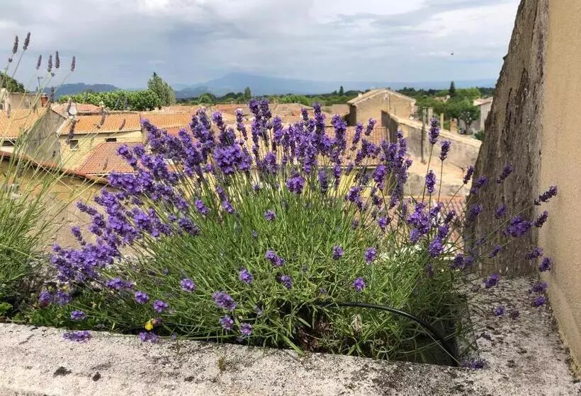 ペンション Entre Vignes Et Dentelles