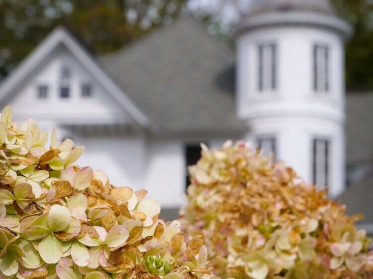 פנסיון Shadowcrest