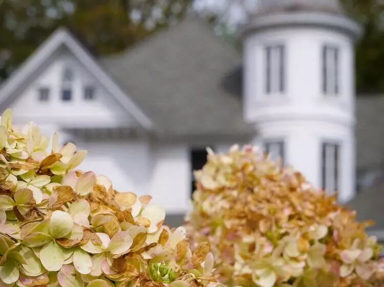 Majatalo Shadowcrest