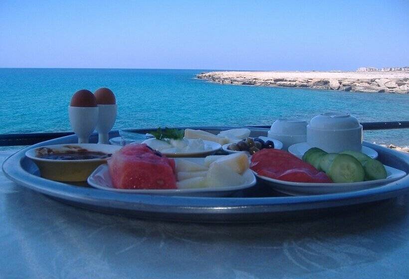 펜션 Theresa Hotel At Karpaz Peninsula