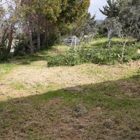 ペンション Theresa Hotel At Karpaz Peninsula