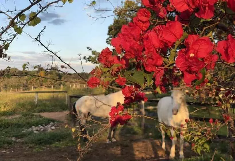 Mar Doce Hotel Boutique