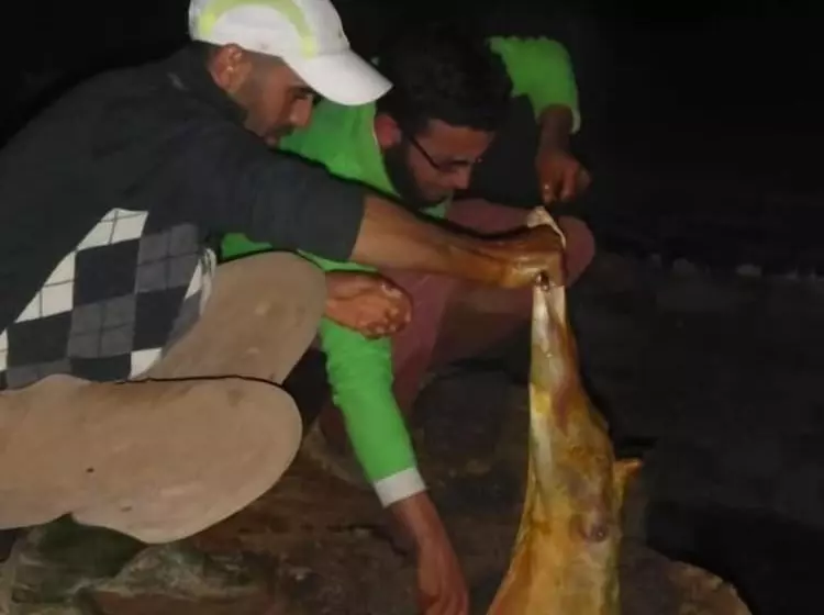 Majatalo Gite Nait Youssef Taghia