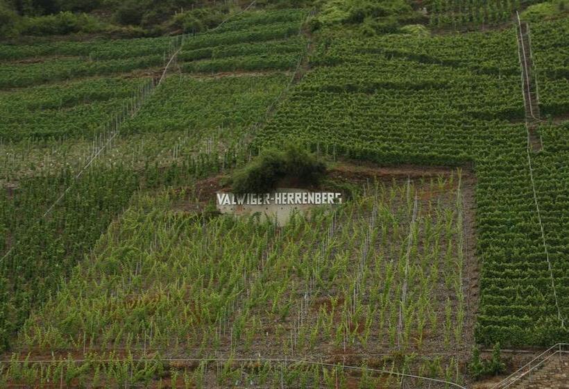 Пансион Gästehaus Lenartz Beth