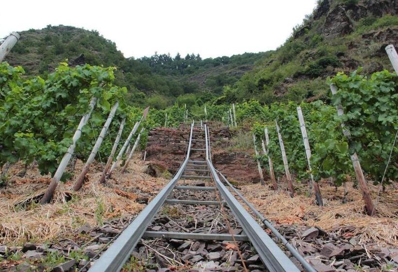 Пансион Gästehaus Lenartz Beth