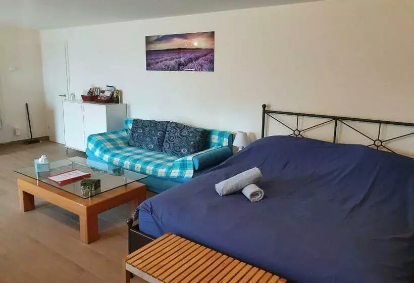 پانسیون Maison D Hôtes Bleu Cudrefin