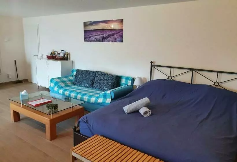 پانسیون Maison D Hôtes Bleu Cudrefin