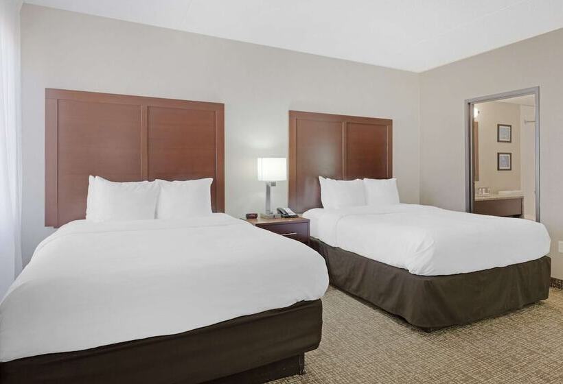 فندق Comfort Inn & Suites