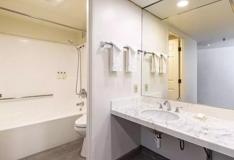 ホテル New Gardena