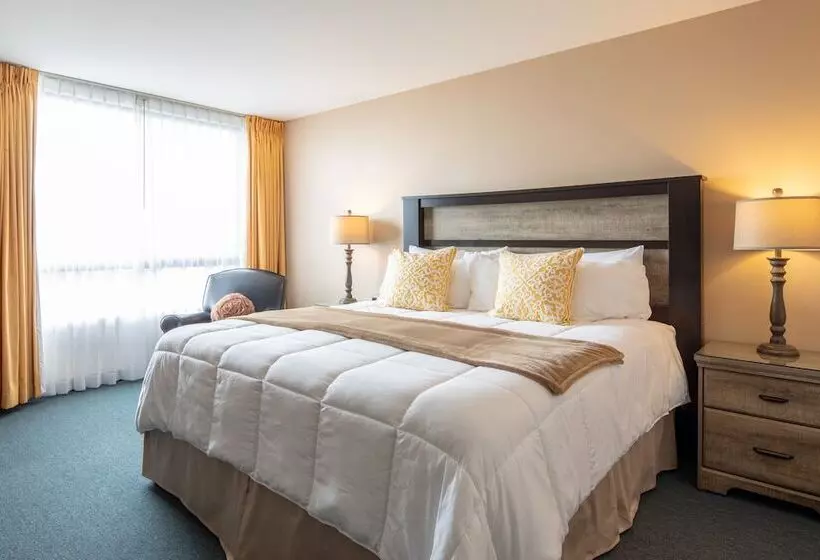 ホテル New Gardena