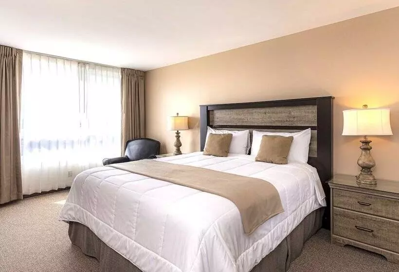 ホテル New Gardena