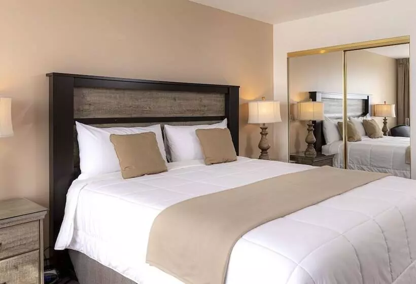 ホテル New Gardena