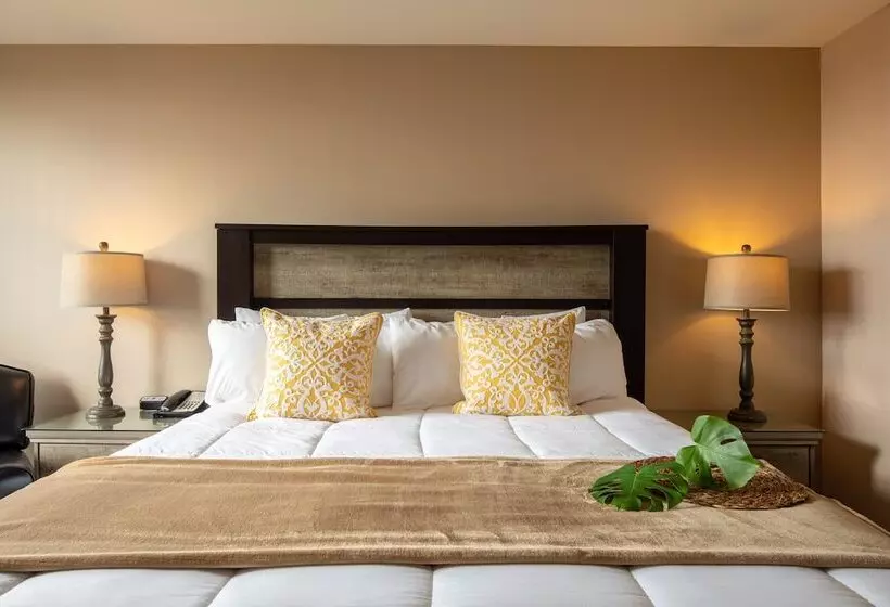 ホテル New Gardena