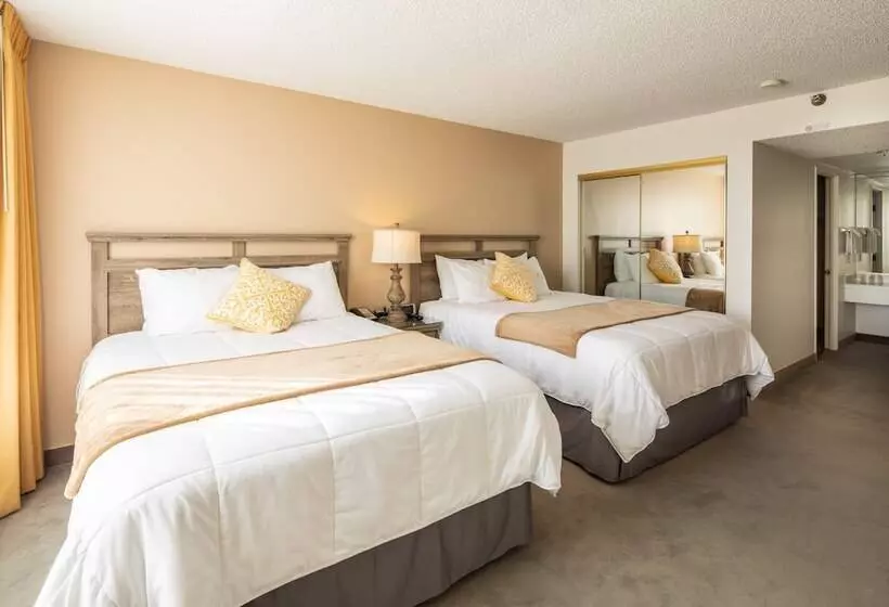 ホテル New Gardena