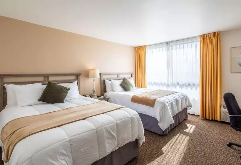 ホテル New Gardena