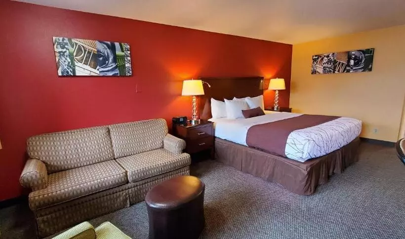 酒店 Olympic Inn & Suites