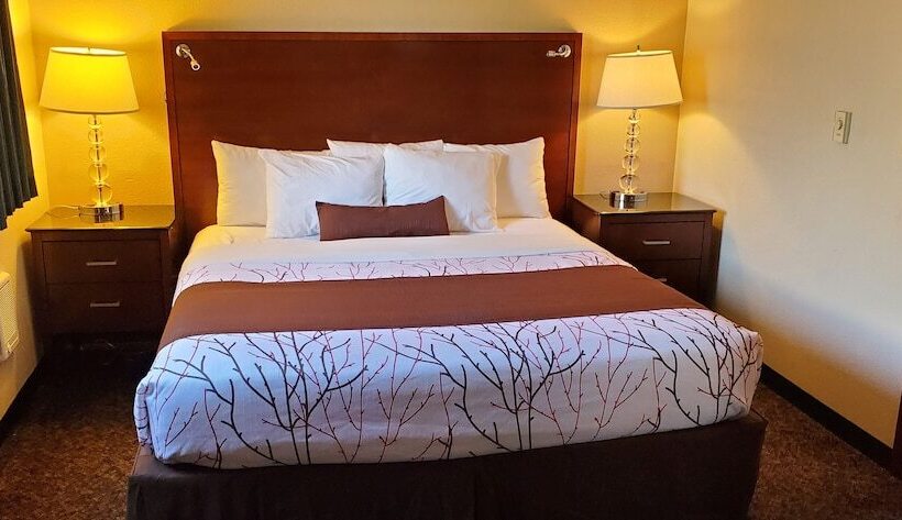 فندق Olympic Inn & Suites