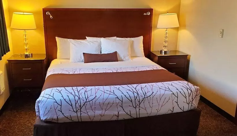 酒店 Olympic Inn & Suites