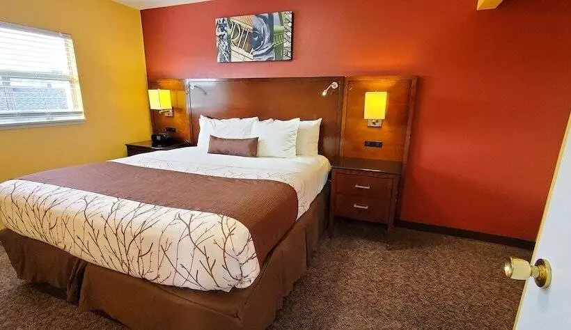 酒店 Olympic Inn & Suites