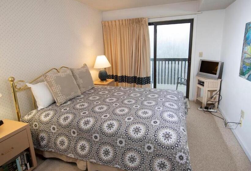 리조트 Winterplace On Okemo Mountain