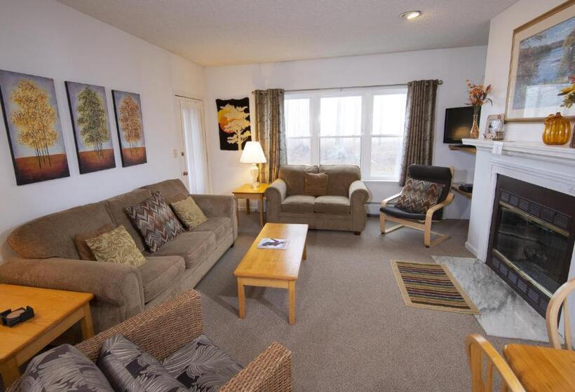 리조트 Winterplace On Okemo Mountain