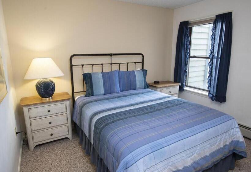 리조트 Winterplace On Okemo Mountain