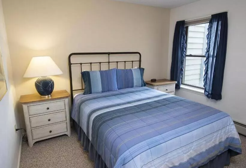 منتجع Winterplace On Okemo Mountain