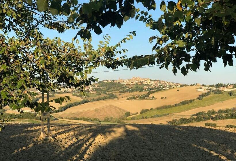 B&b I Pini Di Storaco