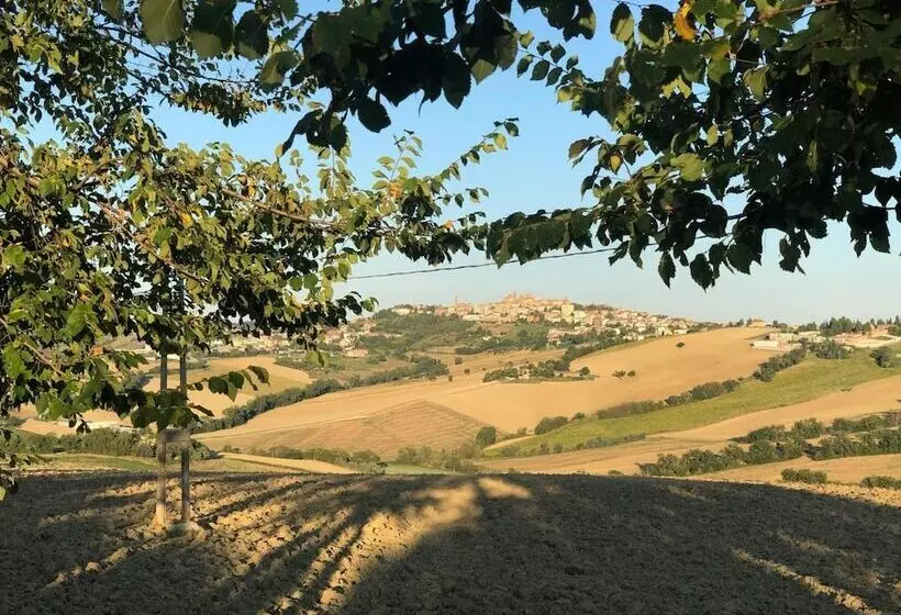 B&b I Pini Di Storaco