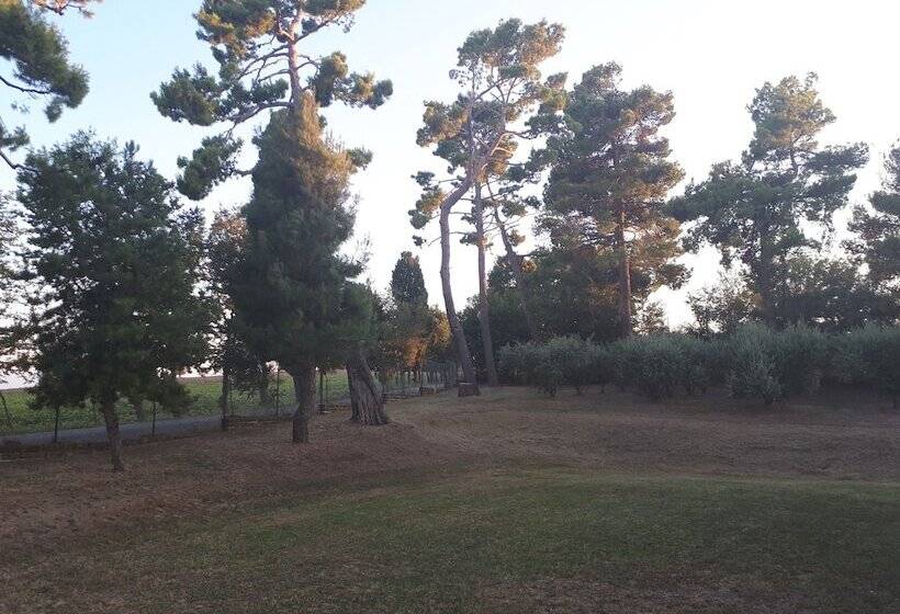 B&b I Pini Di Storaco