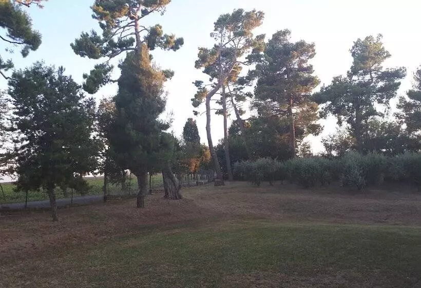 B&b I Pini Di Storaco