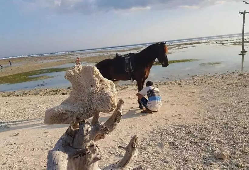 پانسیون Sama Sama Bungalows