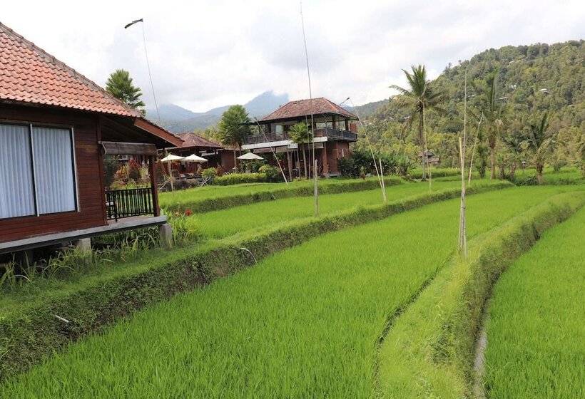 膳宿费 Villa Sande