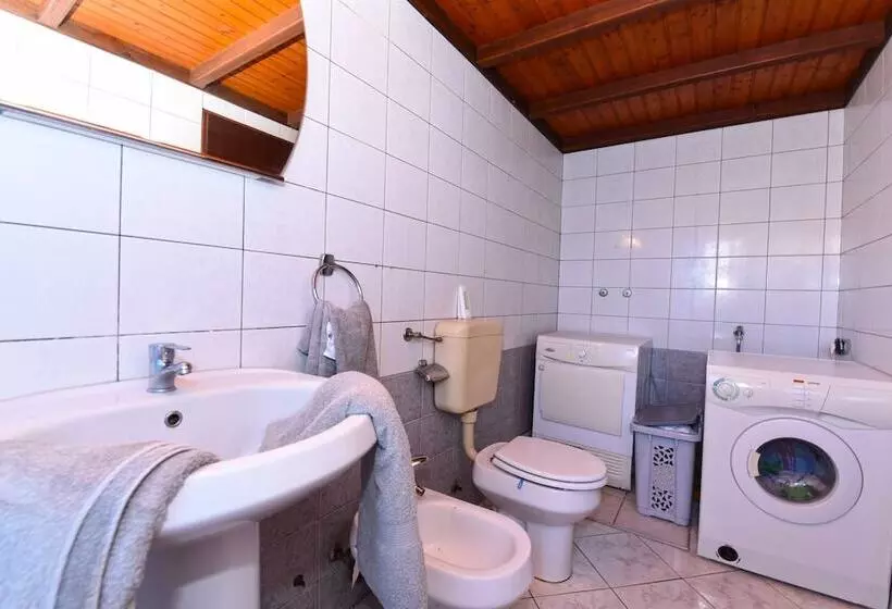Kamelija Apartments 316