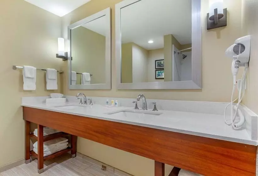 هتل Comfort Suites Greensboro High Point