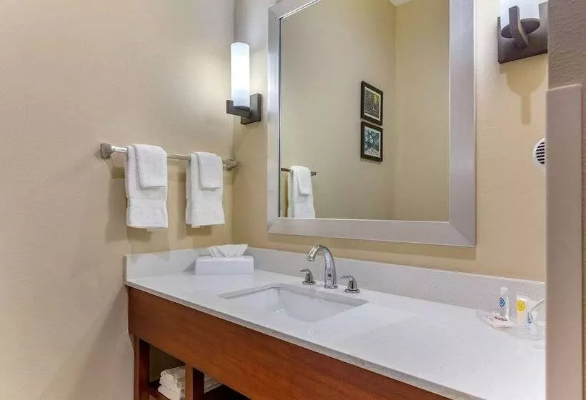 هتل Comfort Suites Greensboro High Point