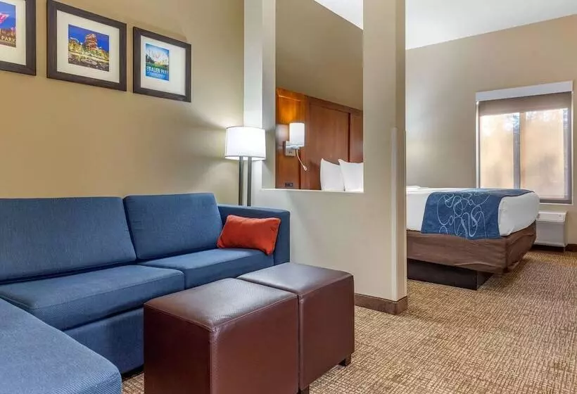 هتل Comfort Suites Greensboro High Point