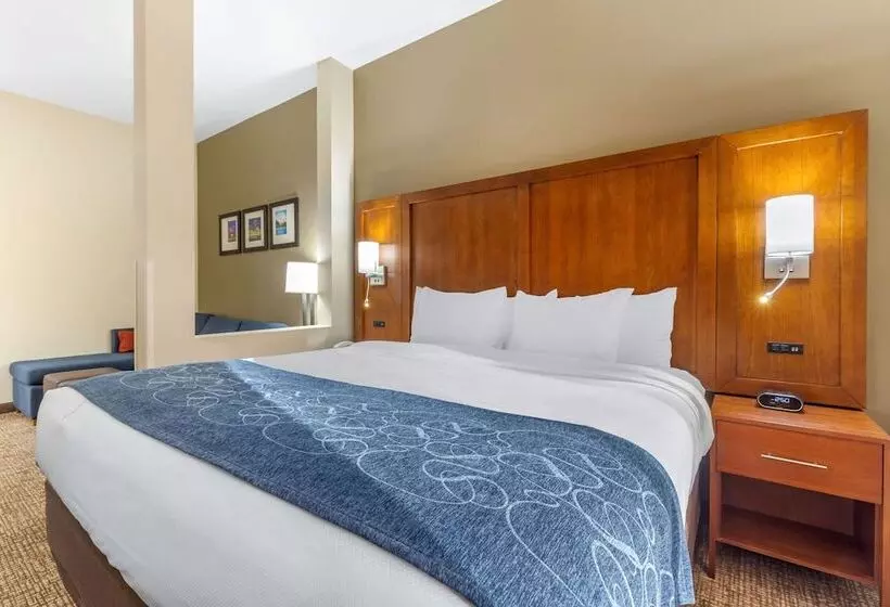 هتل Comfort Suites Greensboro High Point