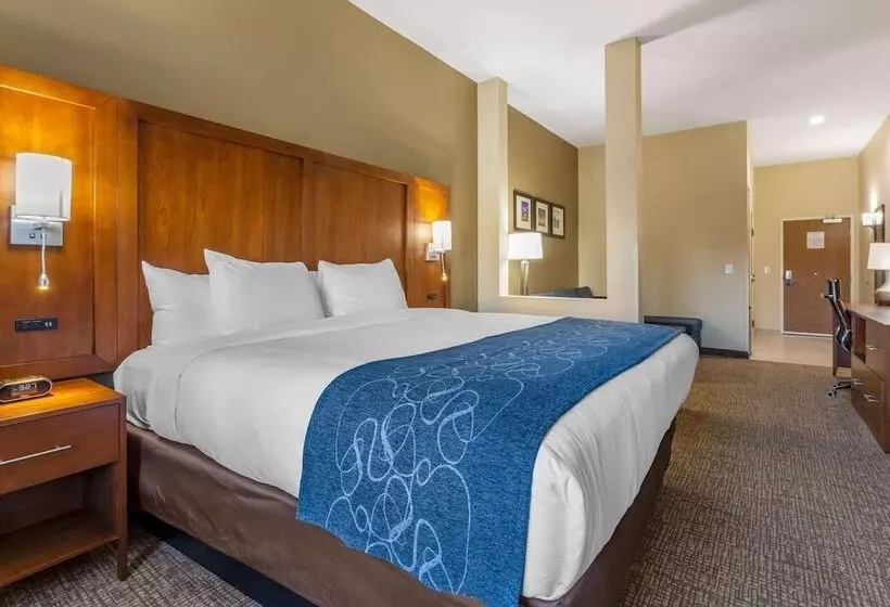 هتل Comfort Suites Greensboro High Point