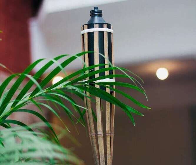 هاستل Apraiana Pousada Boa Viagem